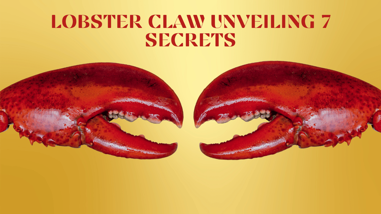 Lobster Claw Mastery: Unveiling 7 Secrets - Redlobsterr